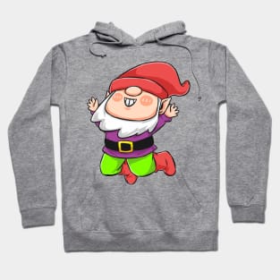 Gnome Jump Hoodie